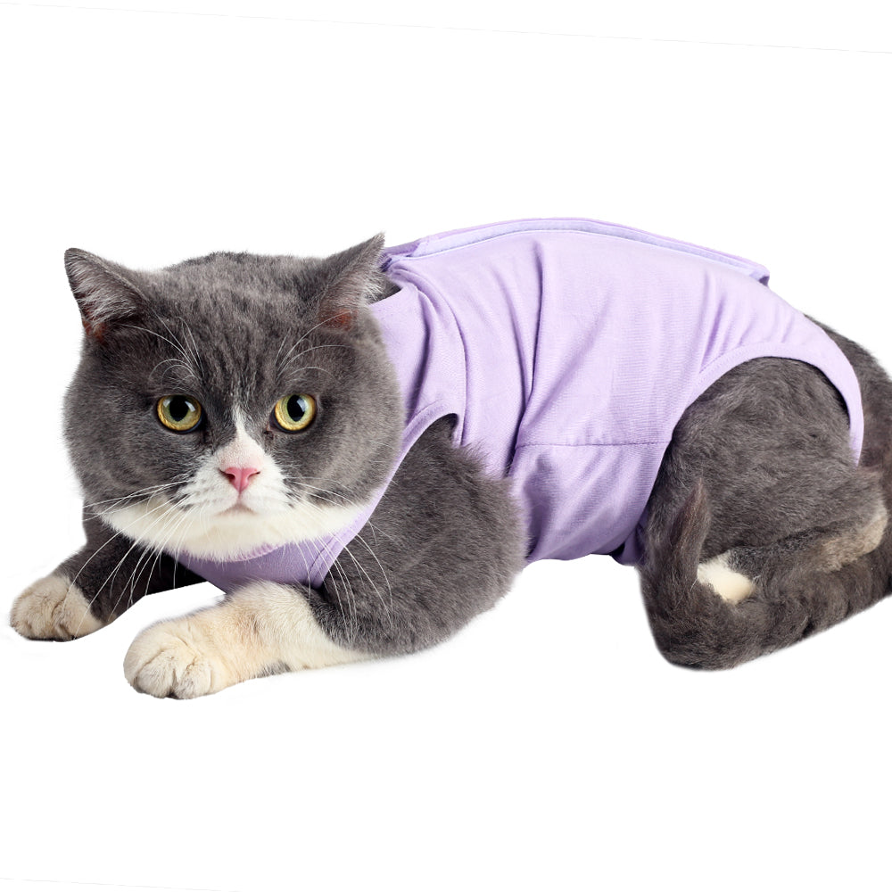 Cat Professional Recovery Suit for Abdominal Wounds or Skin Diseases, E-Collar Alternative for Cats and Dogs, After Surgery Wear, Pajama Suit