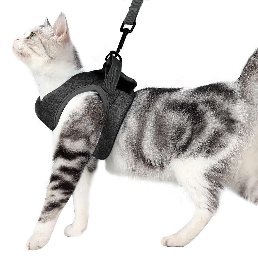 Cat Harness and Leash - Ultra Light Escape Proof Kitten Collar Cat Walking Jacket with Running Cushioning Soft and Comfortable Suitable for Puppies Rabbits