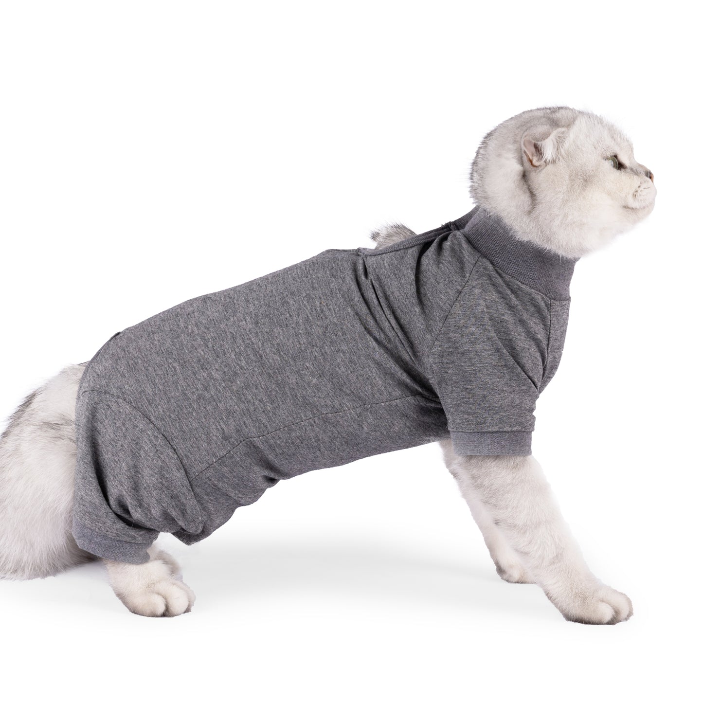 Cat Recovery Suit After Surgery for Female Male Pet Surgical Pajamas Long Sleeve Prevent Shedding Recovery Snugly Suit&E Collar Alternative Onsies for Cats