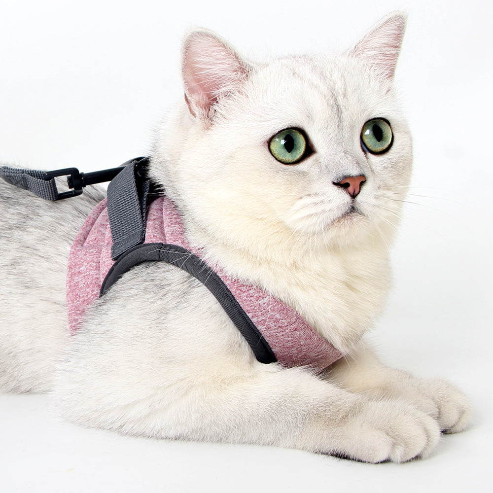 Cat Harness and Leash - Ultra Light Escape Proof Kitten Collar Cat Walking Jacket with Running Cushioning Soft and Comfortable Suitable for Puppies Rabbits