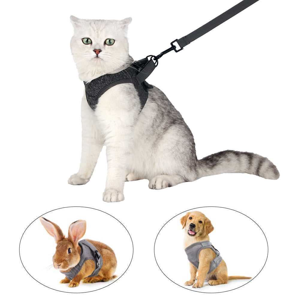 Cat Harness and Leash - Ultra Light Escape Proof Kitten Collar Cat Walking Jacket with Running Cushioning Soft and Comfortable Suitable for Puppies Rabbits