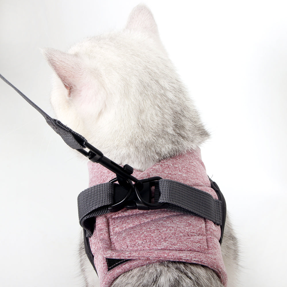 Cat Harness and Leash - Ultra Light Escape Proof Kitten Collar Cat Walking Jacket with Running Cushioning Soft and Comfortable Suitable for Puppies Rabbits